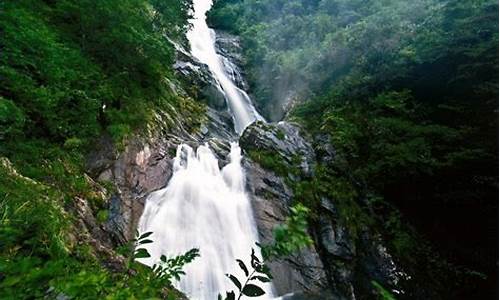 杭州东站到天目山风景区_天目山风景区