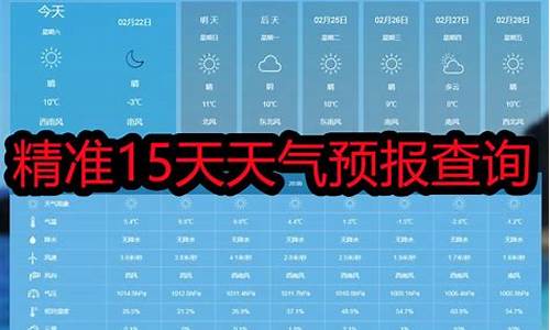 南岸天气预报15天精准_南岸天气预报15天精准查询百度