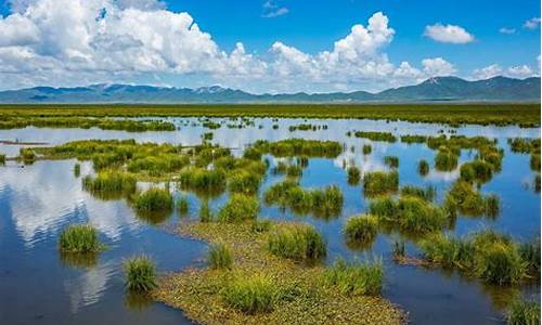 若尔盖草原最佳旅游时间_若尔盖草原适合几月份去