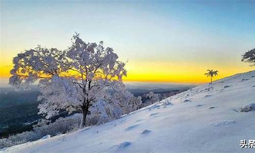 吉林通化天气预报未来15日_吉林通化天气