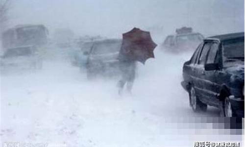 北京将迎最大暴雪_北京将迎最大暴雪是哪一年