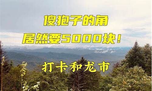 吉林省和龙市天气预报近半个月_吉林省延边朝鲜族自治州和龙市天气