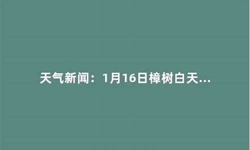 樟树市天气预报15天_樟树市天气预报15天查询结果